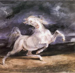 Caballo asustado por una tormenta